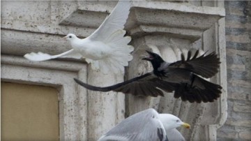Sulmohen pellumbat e paqes te leshuar nga Vatikani 2